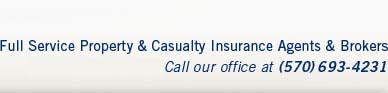 Full Service Property and Casualty Insurance Agents and Brokers